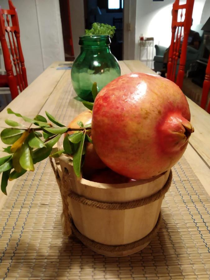 Les Magranes Bed & Breakfast Argelaguer 외부 사진